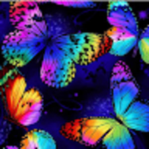 Meet your Posher, Antoinette